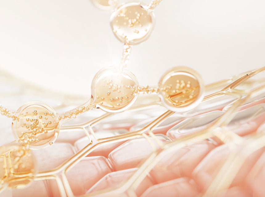 The Skin Barrier Explained & Why it Matters More Than You Think