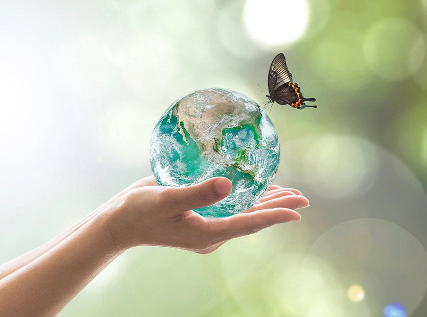 6 Ways to Do Your Part for Earth Day!
