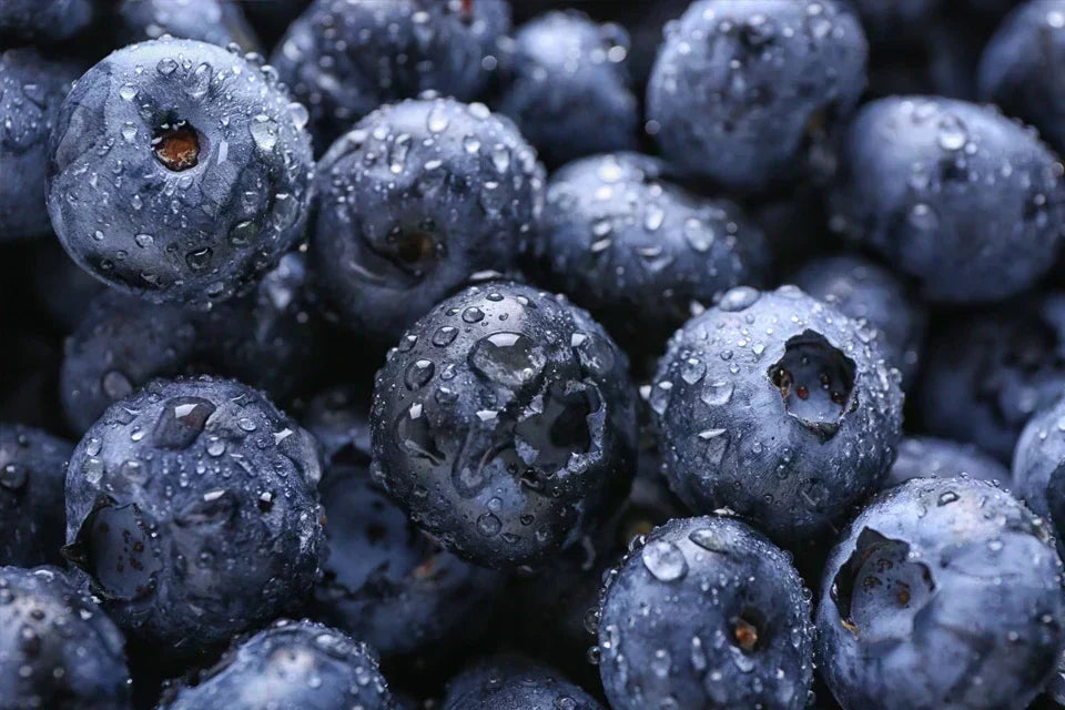 Blueberries