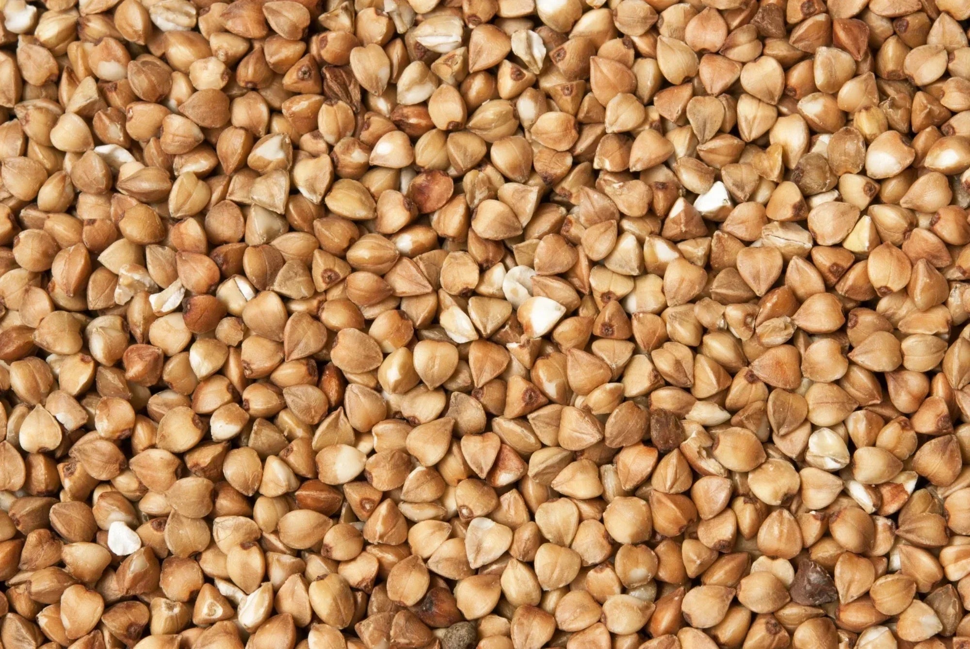 Buckwheat