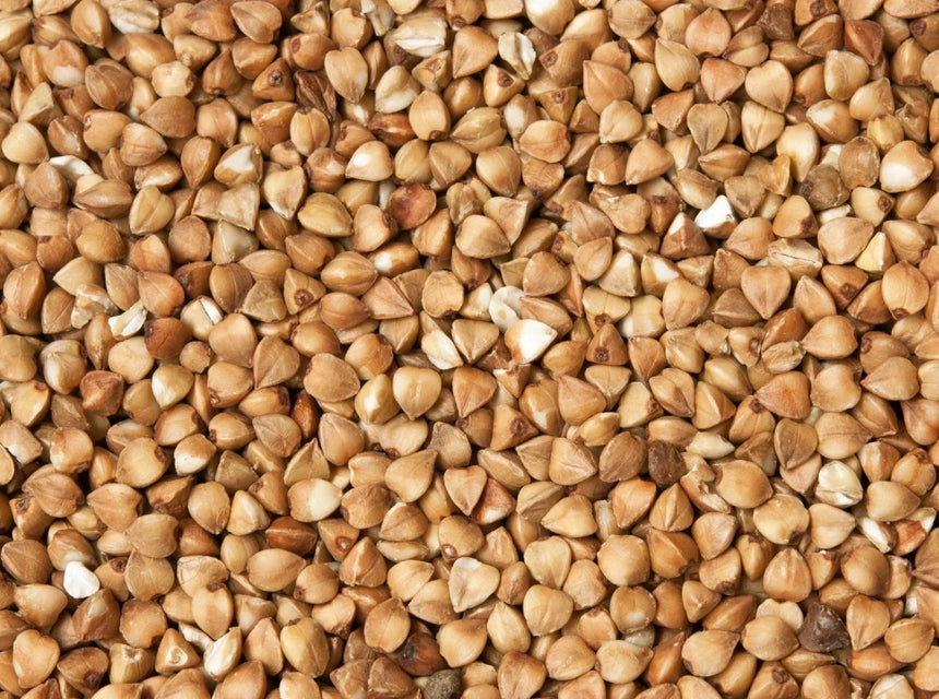 Buckwheat