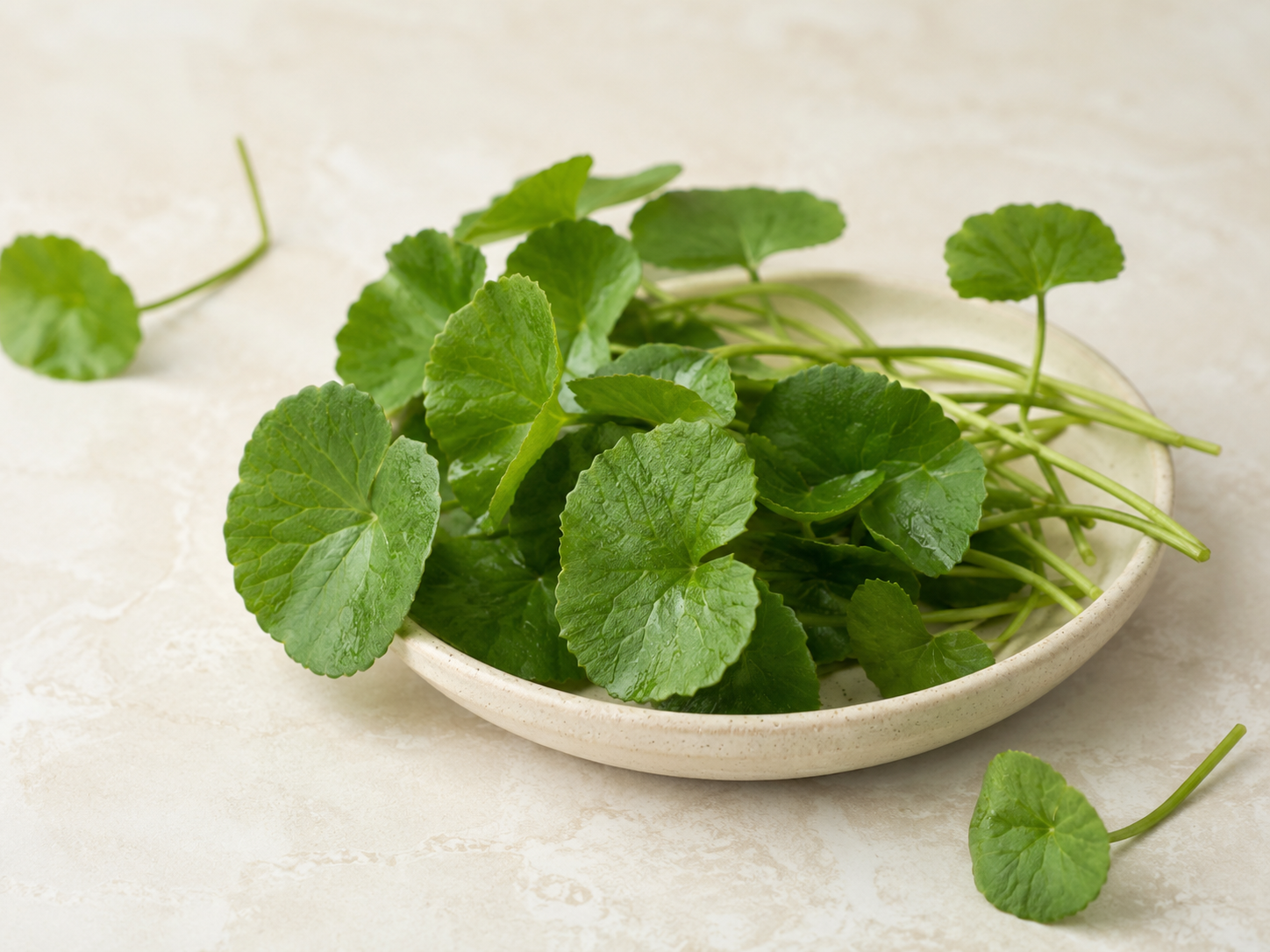 Centella Asiatica
