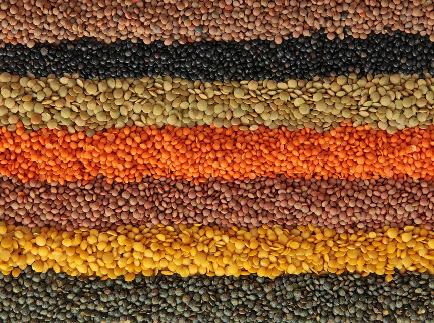 Lentils