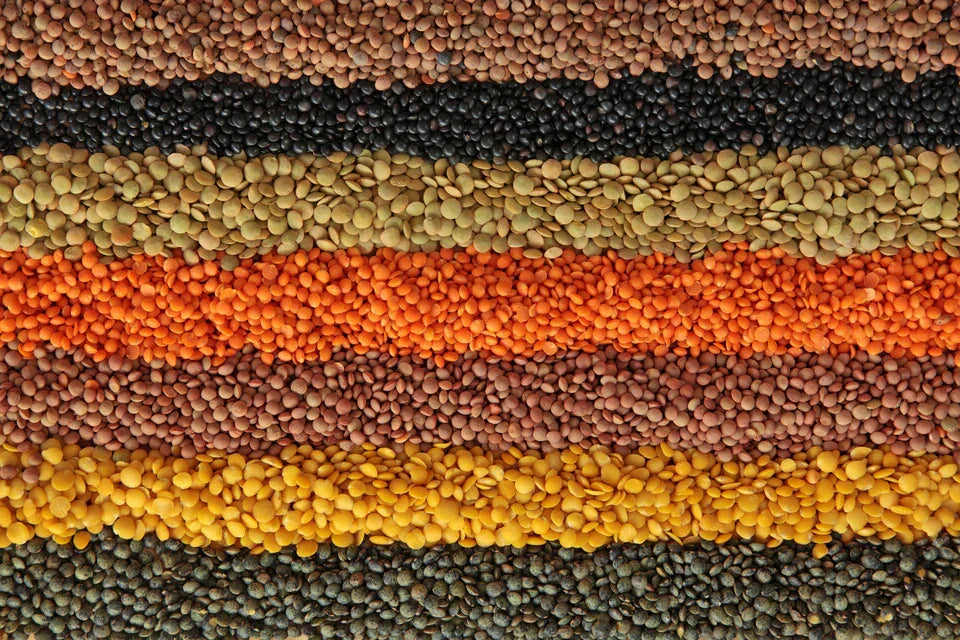 Lentils