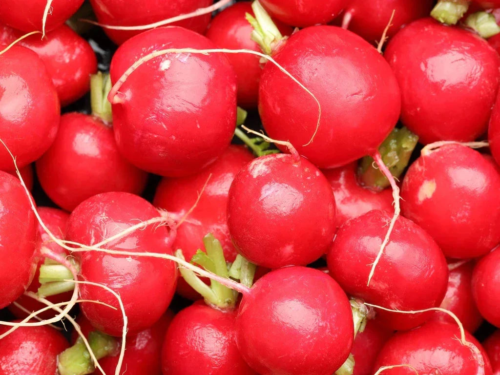 Radishes
