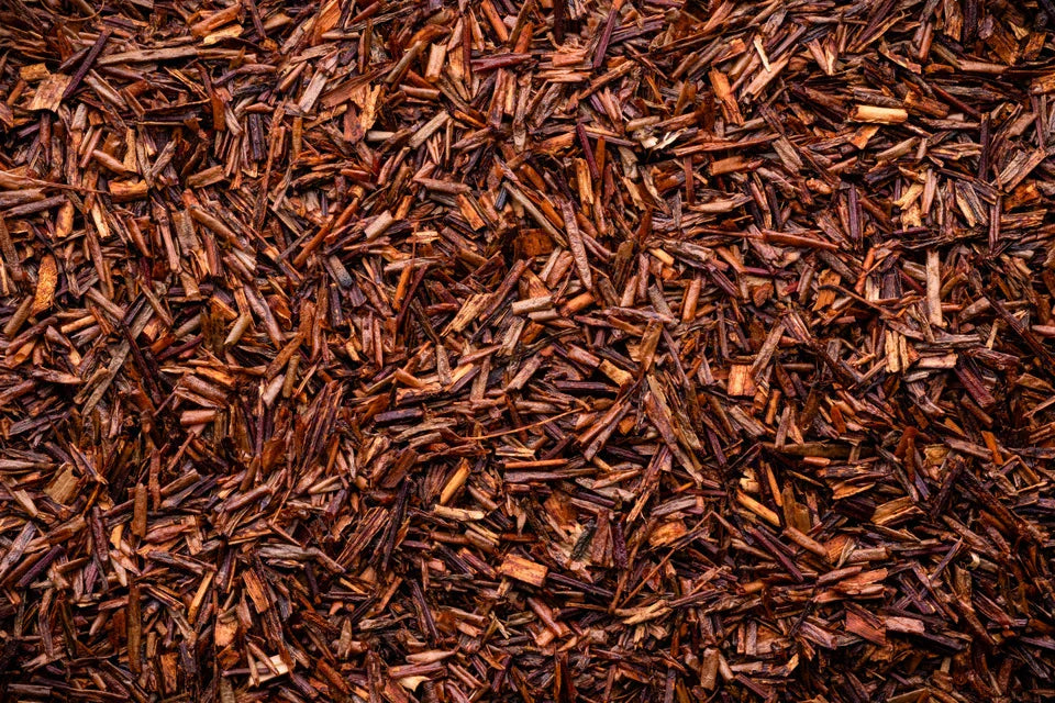 Rooibos Tea