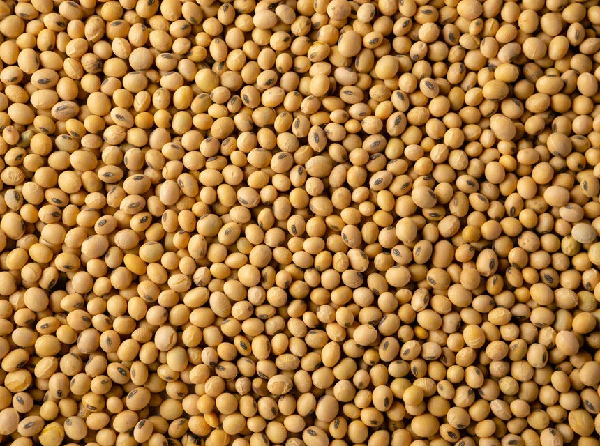 Soybeans