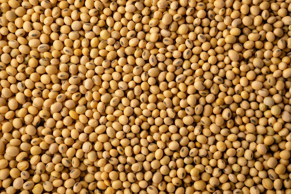 Soybeans