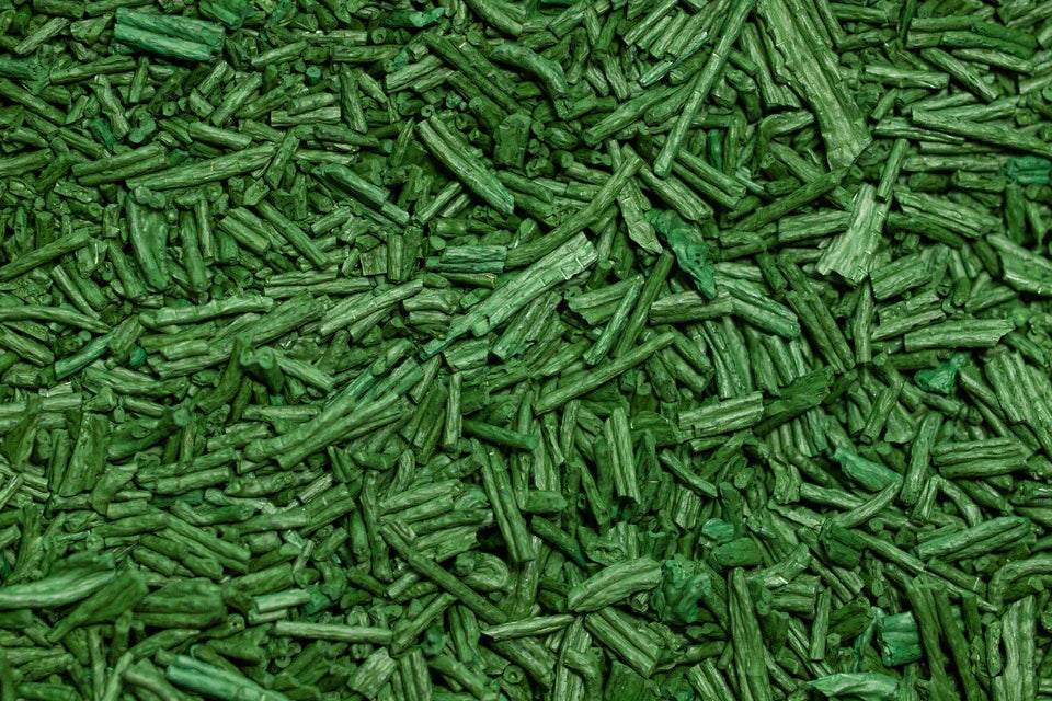 Spirulina