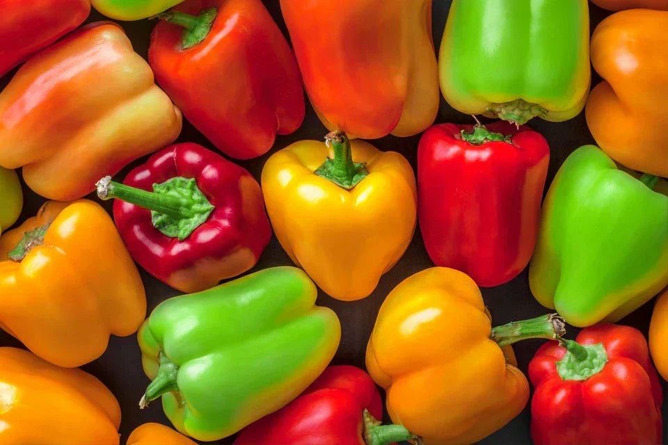 Bell Peppers