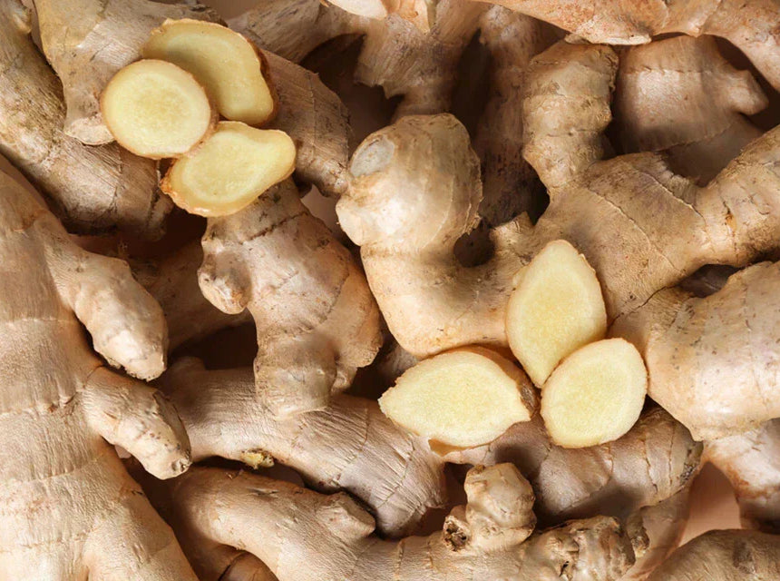 Ginger