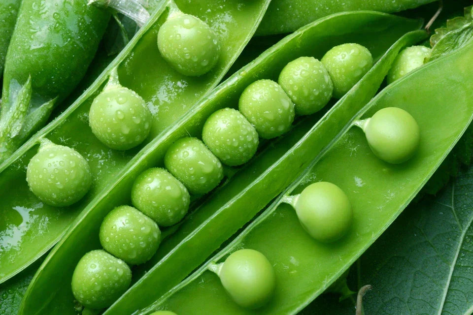 Green Peas