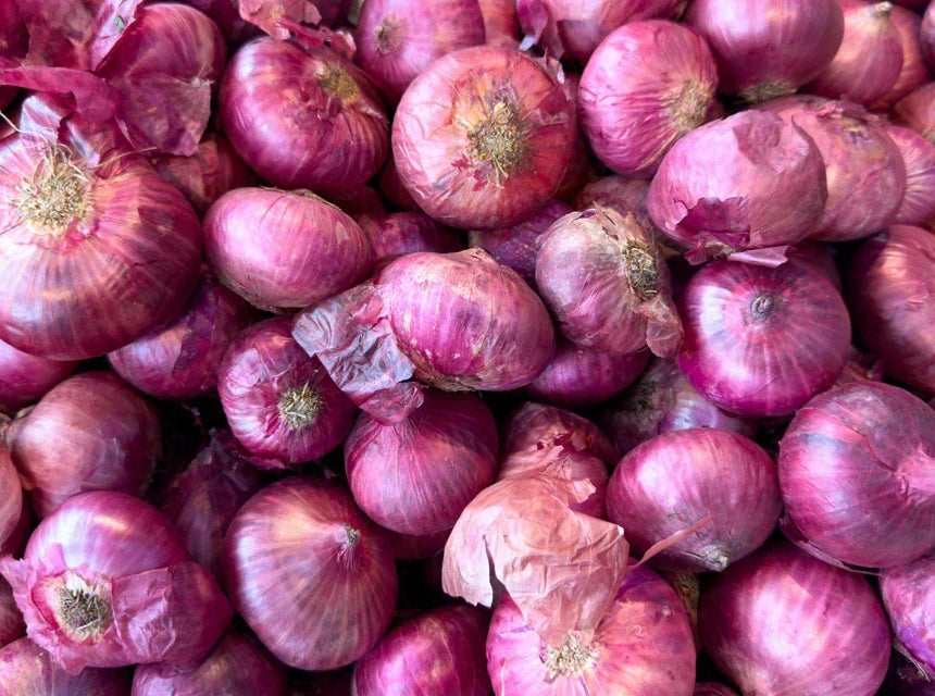 Onion