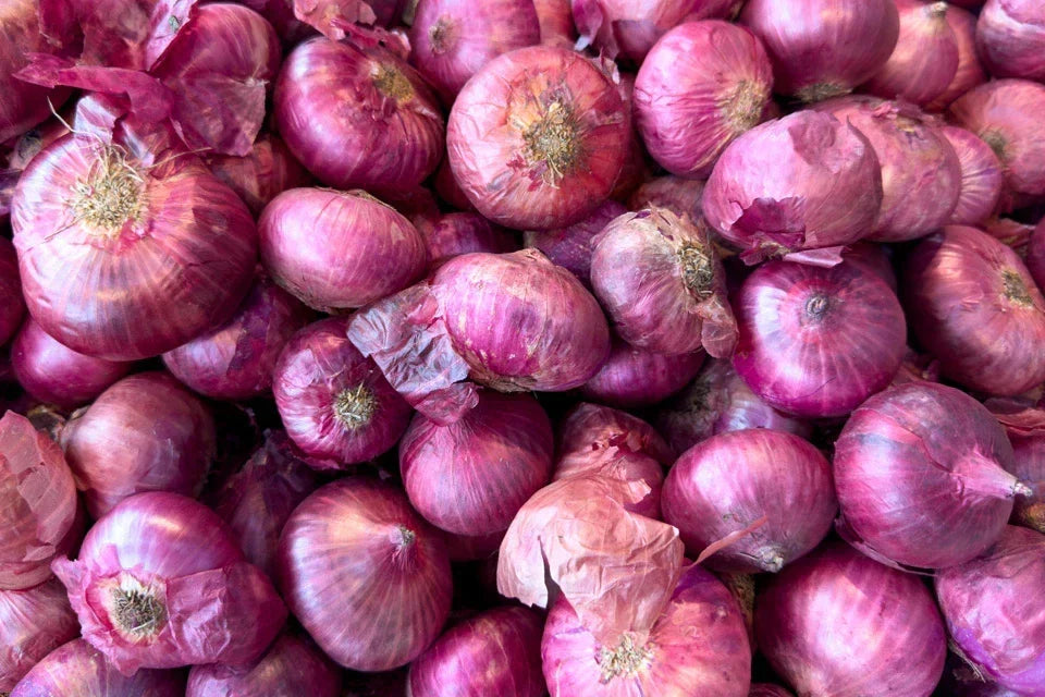 Onion