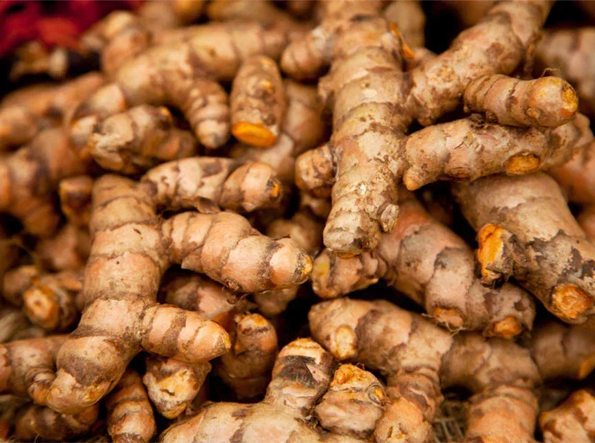 Turmeric