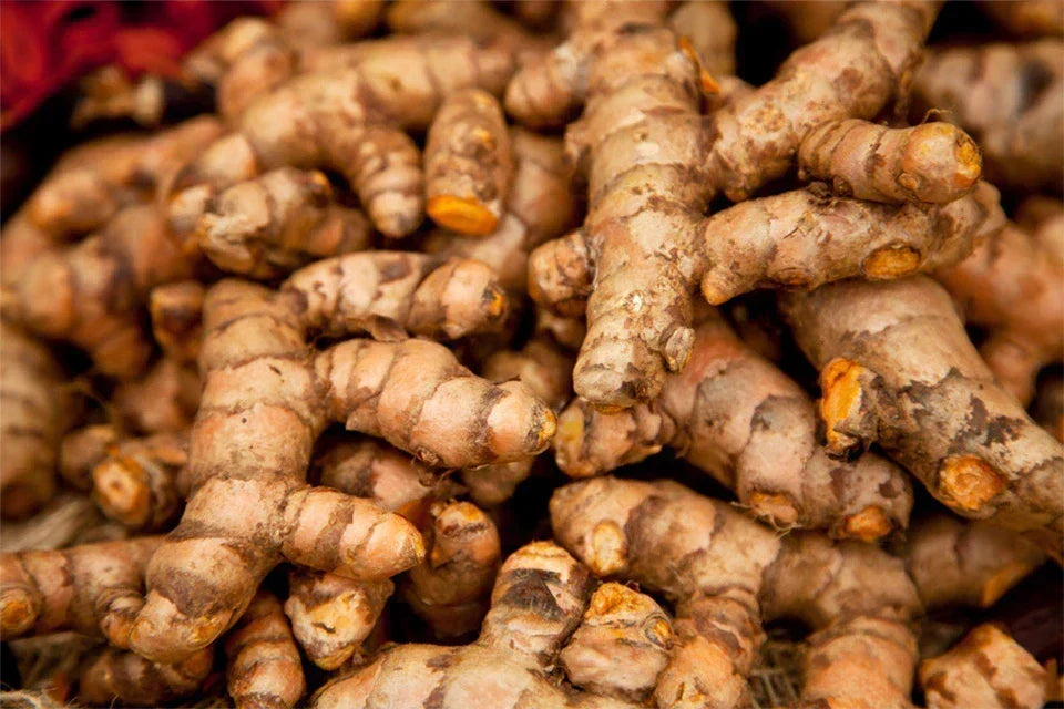 Turmeric