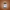Gold Collagen Hyaluronic Formula supplement bottle on a brown background