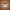 Gold Collagen hyaluronic formula supplement bottle on a brown background