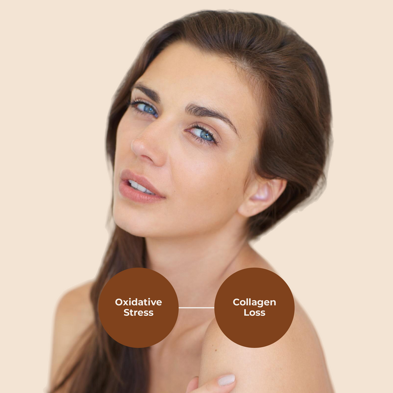 Woman with text labels 'Oxidative Stress' and 'Collagen Loss' on a beige background