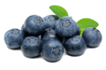 Blueberry Extract