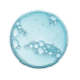 Glycosaminoglycans