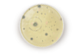SynBalance® DefensePlus