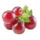 Red Vineyard Extract