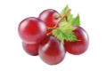 Red Vineyard Extract