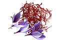 Saffron Extract