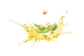 Sage Extract