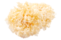 Snow Fungus extract