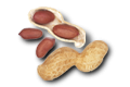 Vitamin B6