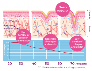 Gold Collagen®