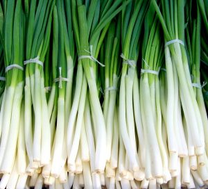 Spring Onions