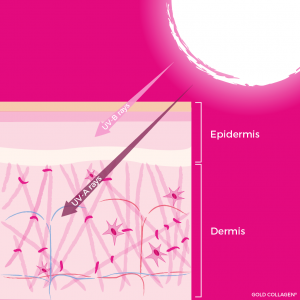 Gold Collagen®